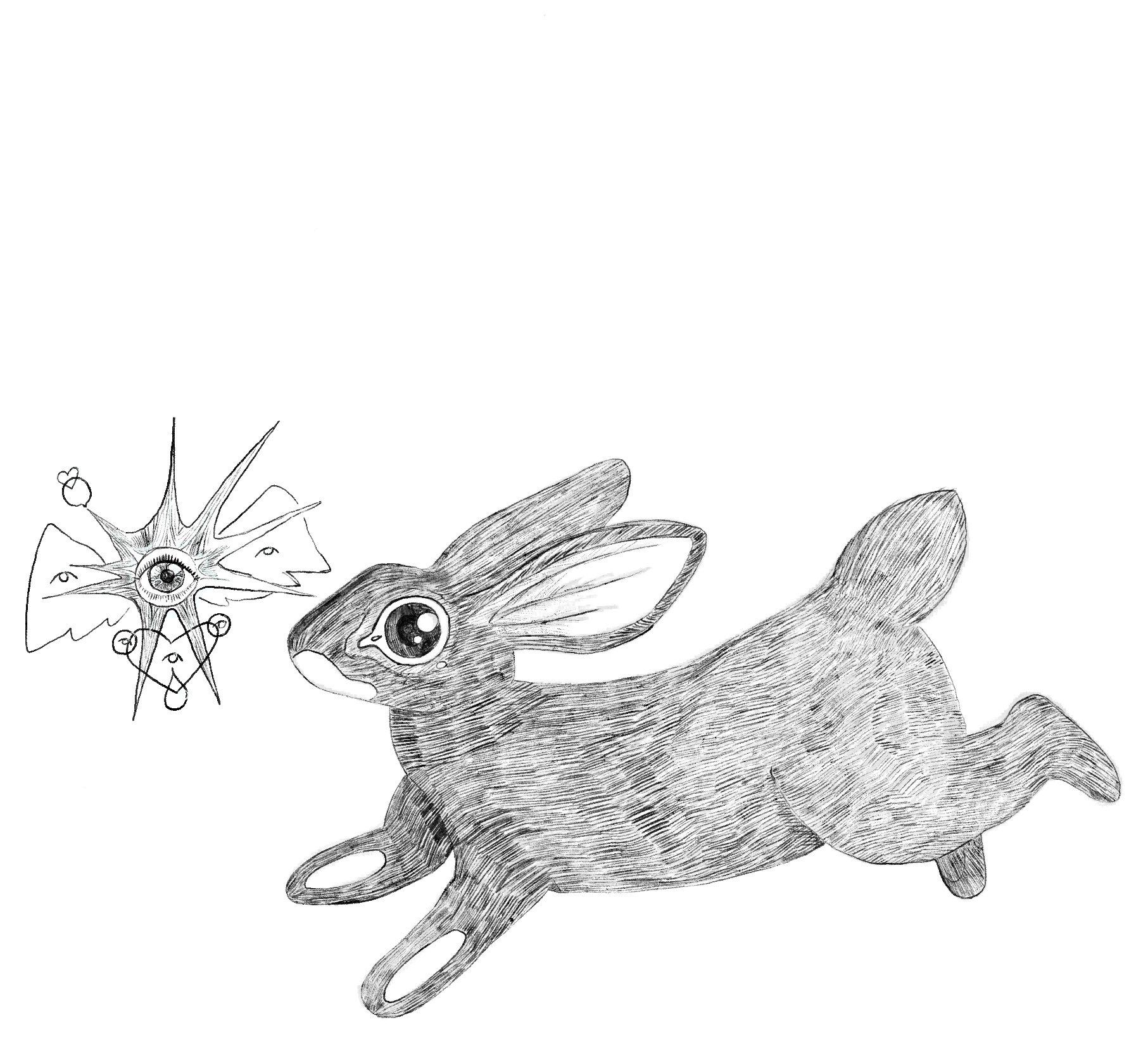 Follow the Rabbit